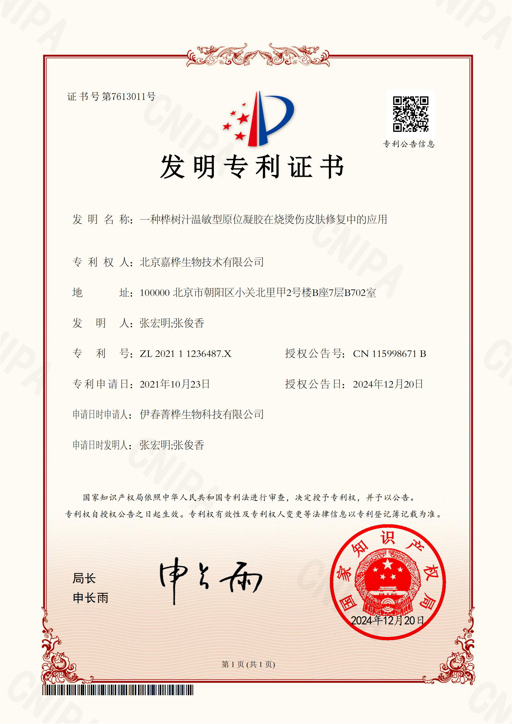 一种桦树汁温敏型原位凝胶在烧烫伤皮肤修复中的应用
