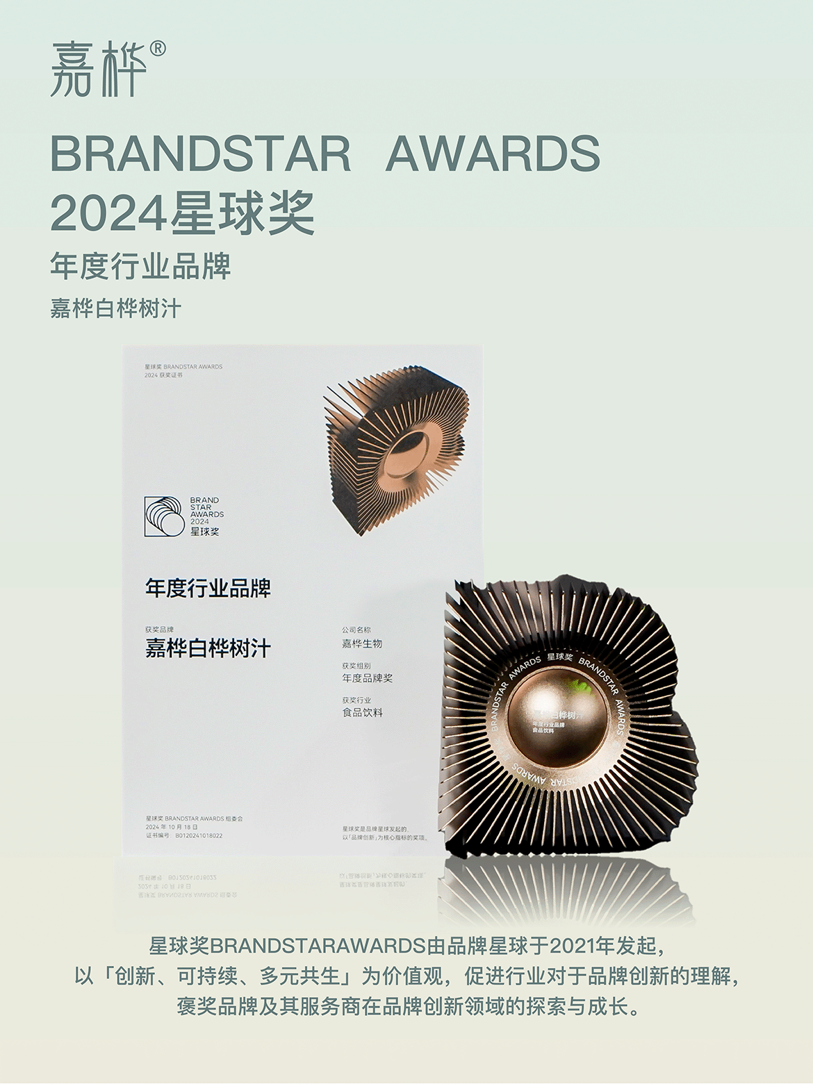 2024星球奖年度行业品牌