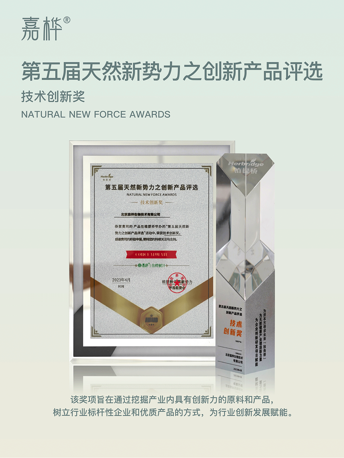 技术创新奖