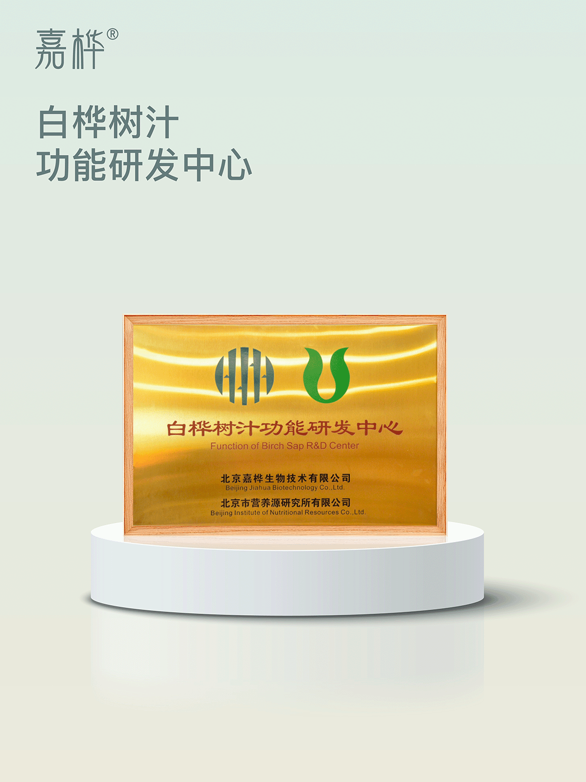白桦树汁功能研发中心