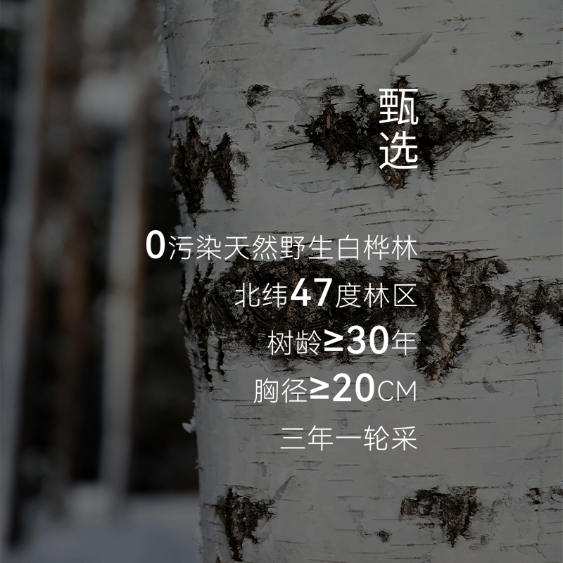 甄选